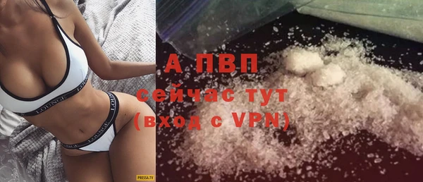 ECSTASY Карпинск