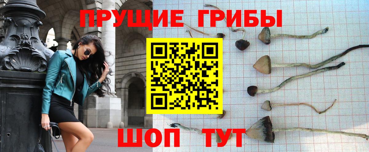 где купить наркотик  Галлюциногенные грибы прущие грибы  Вход с VPN  Михайловка 