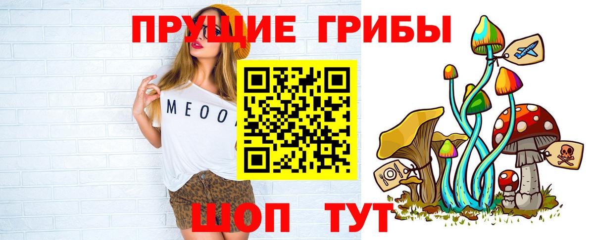 Галлюциногенные грибы Psilocybine cubensis Михайловка
